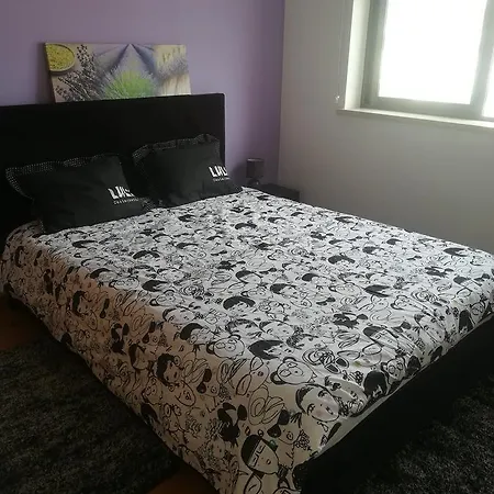 Apartament R. Jose Pedro - 2 *